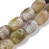 Natural Weathered Agate Beads Strands G-NH0047-B06-02-2
