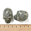 Halloween Natural Labradorite Skull Figurines DJEW-L021-01F-3