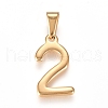 304 Stainless Steel Pendants STAS-L210-05C-G-1