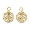 Brass Micro Pave Cubic Zirconia Charms KK-C092-04G-1