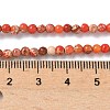 Dyed Natural Regalite/Imperial Jasper/Sea Sediment Jasper Beads Strands G-B124-C05-03-2