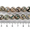 Natural Tibetan Wave Pattern dZi Agate Beads Strands G-B084-A01-01-5