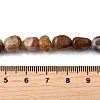 Natural Petrified Wood Beads Strands G-L621-C11-01-5