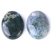 Natural Indian Agate Cabochons PW-WG8E62B-01-3