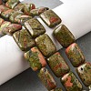 Natural Unakite Beads Strands G-S386-A02-1