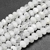 Natural Rainbow Moonstone Beads Strands G-O170-67C-1