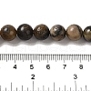 Natural Chiastolite Beads Strands G-Q161-A03-04-5