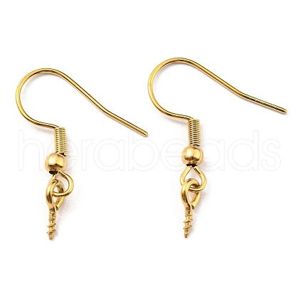 304 Stainless Steel Earring Hooks STAS-G310-24G-1