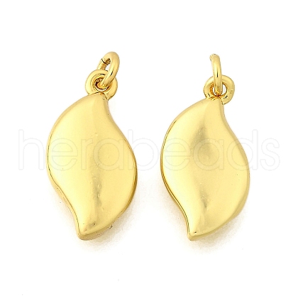 Brass Charms KK-I275-12G-04-1