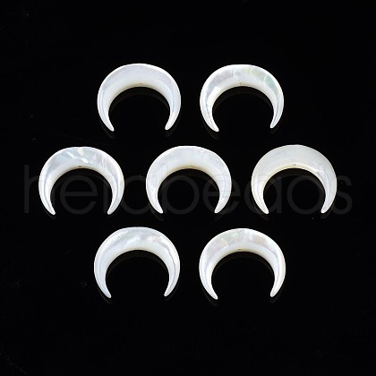 Natural White Shell Mother of Pearl Shell Beads SSHEL-T012-07-1