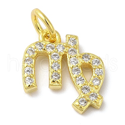 925 Sterling Silver Charms STER-M120-03F-G-1
