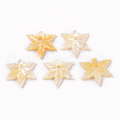 Natural Yellow Shell Charms SSHEL-R144-34-1