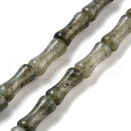 Natural Labradorite Beads Strands G-Q178-A09-01-1