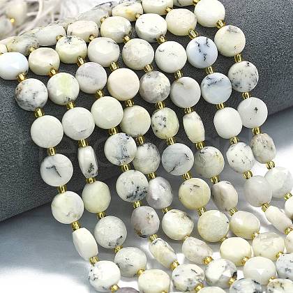 Natural White African Opal Beads Strands G-C116-A131-01-1