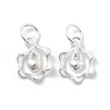925 Sterling Silver Charms STER-D302-05A-S-1
