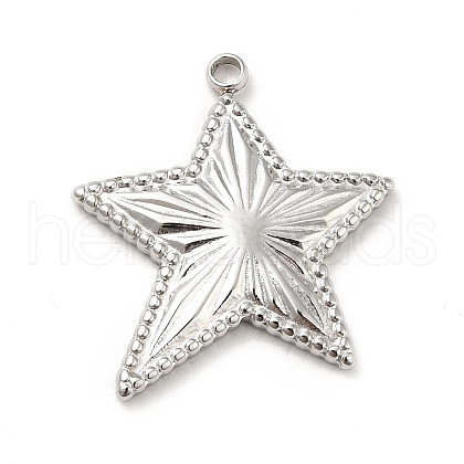 Non-Tarnish 304 Stainless Steel Pendants STAS-P312-14P-1
