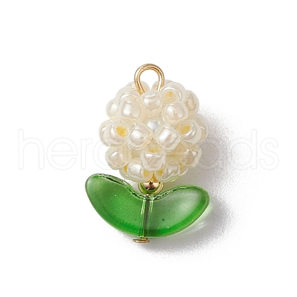 Glass Seed Beads Pendants PALLOY-MZ00592-01-1