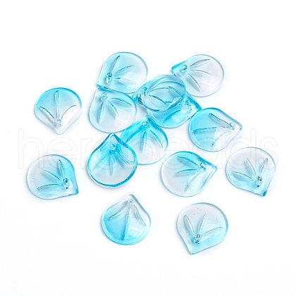 Transparent Glass Charms GLAA-H016-05E-25-1