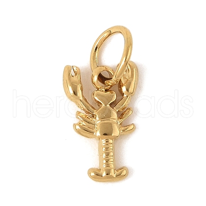 304 Stainless Steel Charms STAS-V013-02A-G-1
