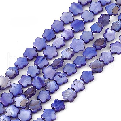 Natural Freshwater Shell Dyed Beads Strands SHEL-K001-001E-1