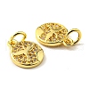 Rack Plating Brass Micro Pave Cubic Zirconia Charms KK-D036-04G-3