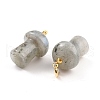 Natural Labradorite Pendants G-M380-C10-P-3