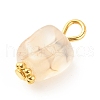 Natural Agate Pendants PALLOY-JF01586-04-5