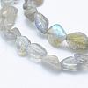 Natural Labradorite Beads Strands G-K203-12-3