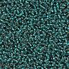 MIYUKI Round Rocailles Beads X-SEED-G007-RR0030-3