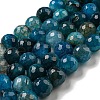 Faceted Natural Dragon Veins Agate Beads Strands G-F447-12mm-P05-2