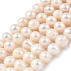 Natural Cultured Freshwater Pearl Beads Strands PEAR-I007-07U-01B-2