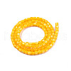 Natural Freshwater Shell Beads Strands SHEL-N003-33-A08-2