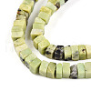 Natural Serpentine Beads Strands G-T140-50-3