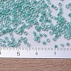 MIYUKI Delica Beads SEED-X0054-DB0079-4