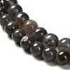 Natural Black Labradorite Beads Strands G-C205-A01-6mm-4