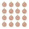 Golden Plated Alloy Enamel Charms X-ENAM-S118-07C-2