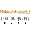 Transparent Glass Beads Strands EGLA-P061-04A-HP02-4