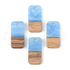 Resin & Walnut Wood Pendants RESI-S389-044A-2