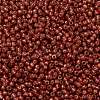 TOHO Round Seed Beads SEED-TR11-PF2113-2