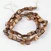 Shell Beads Strands PBB052Y-2