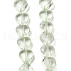Baking Paint Transparent Glass Beads Strands DGLA-A08-T8mm-KD02-1