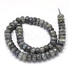 Natural Labradorite Rondelle Bead Strands G-O095-05-G-3