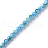 Natural Apatite Beads Strands G-I254-08F-2