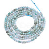 Natural Russia Amazonite Beads Strands G-S300-13-2mm-2