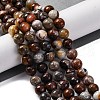 Natural Mexico Crazy Agate Beads Strands G-L615-A01-02-1