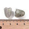 Natural Labradorite Beads G-A222-03G-3
