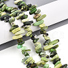 Natural Serpentine Beads Strands G-T140-62-1