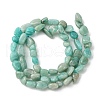 Natural Amazonite Beads Strands G-Z034-D06-01-3