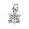 Brass Micro Pave Cubic Zirconia Pendants ZIRC-K070-41P-1