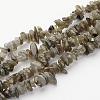 Natural Labradorite Chips Beads Strands X-F069-1